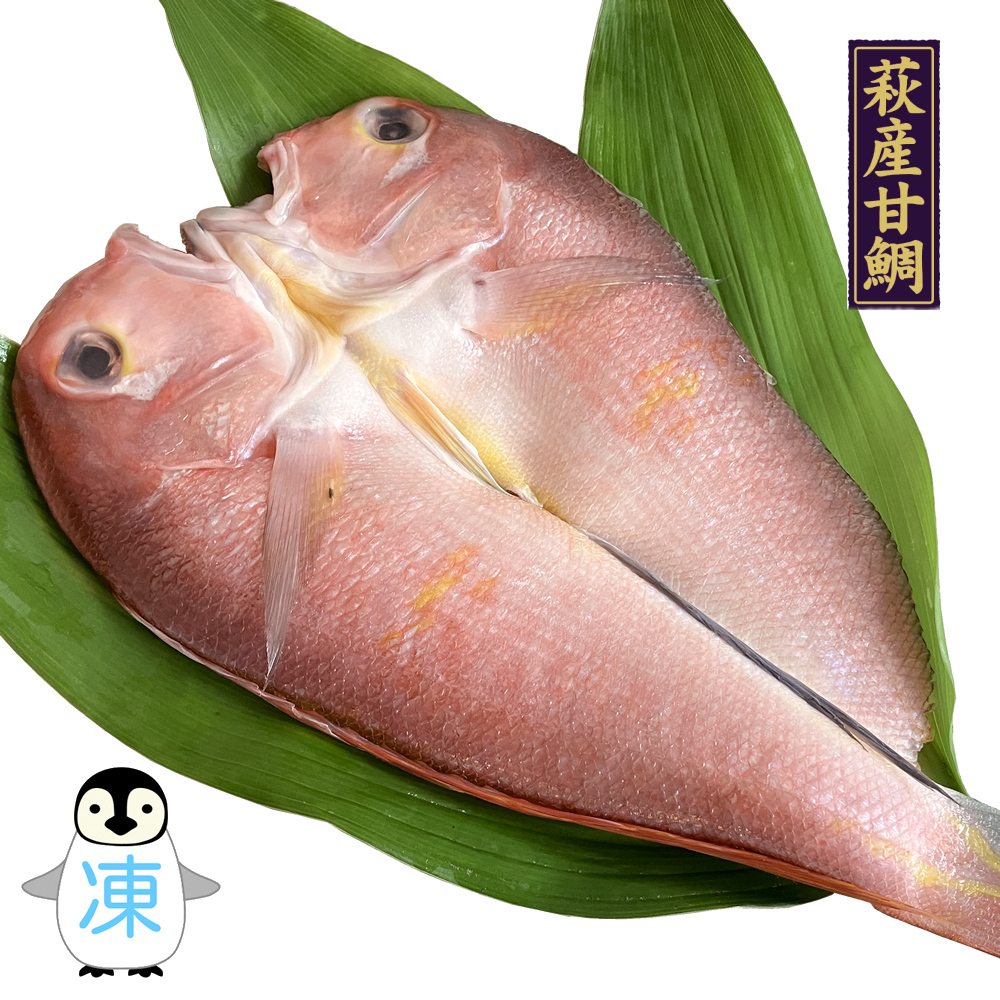 山口県萩産　甘鯛一夜干し　【数量限定】